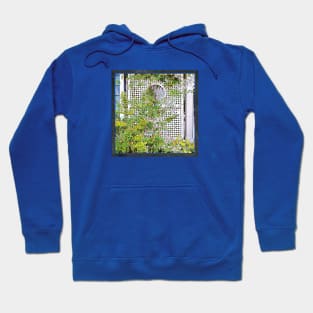 Ocean Grove Trellis Hoodie